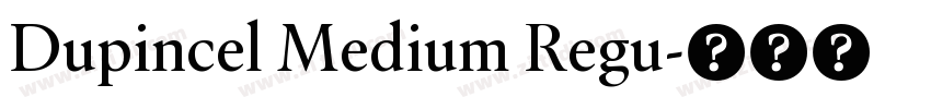 Dupincel Medium Regu字体转换